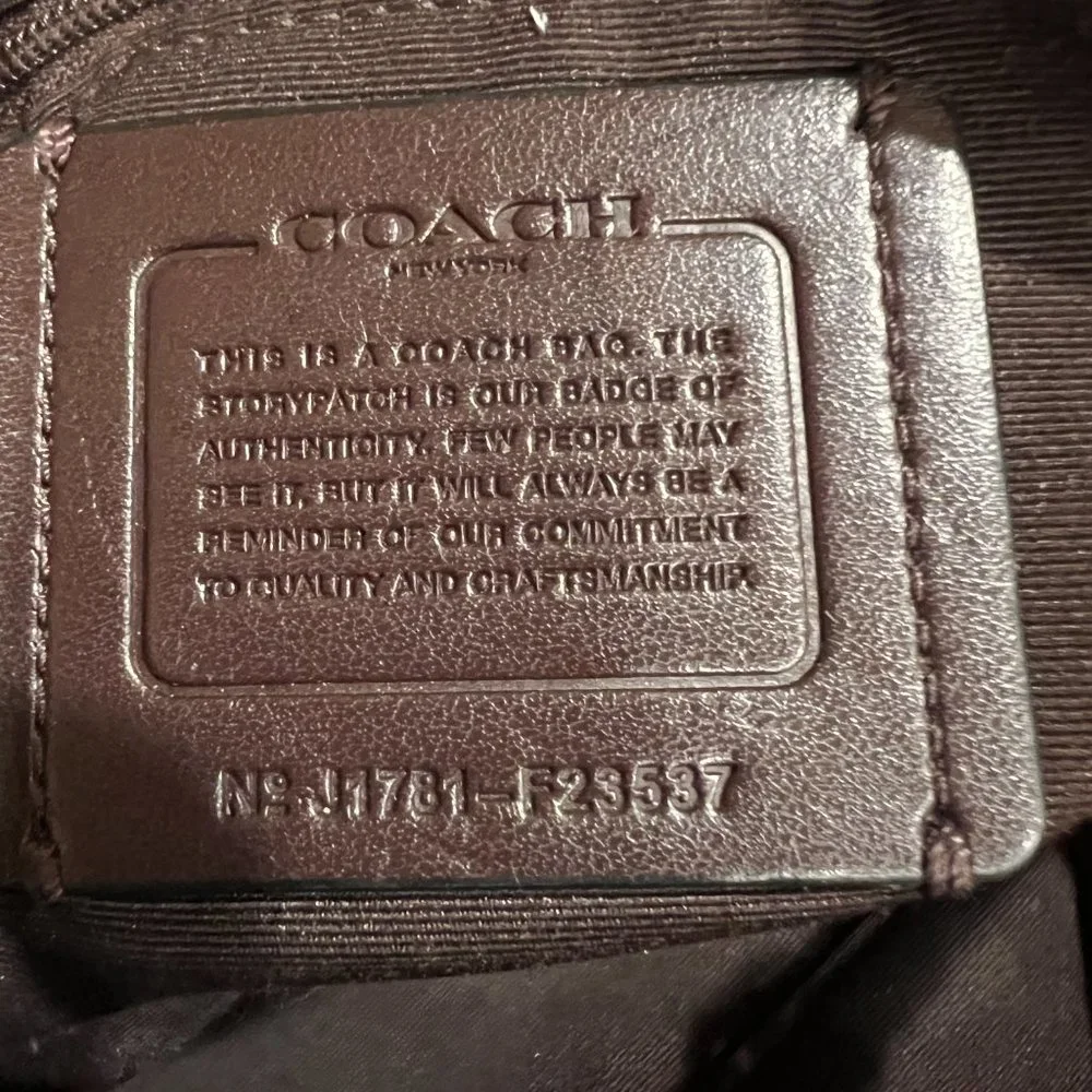 Coach Lexy pebble leather bag F23537 crossbody and shoulder bag